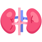 Peritoneal Dialysis Access